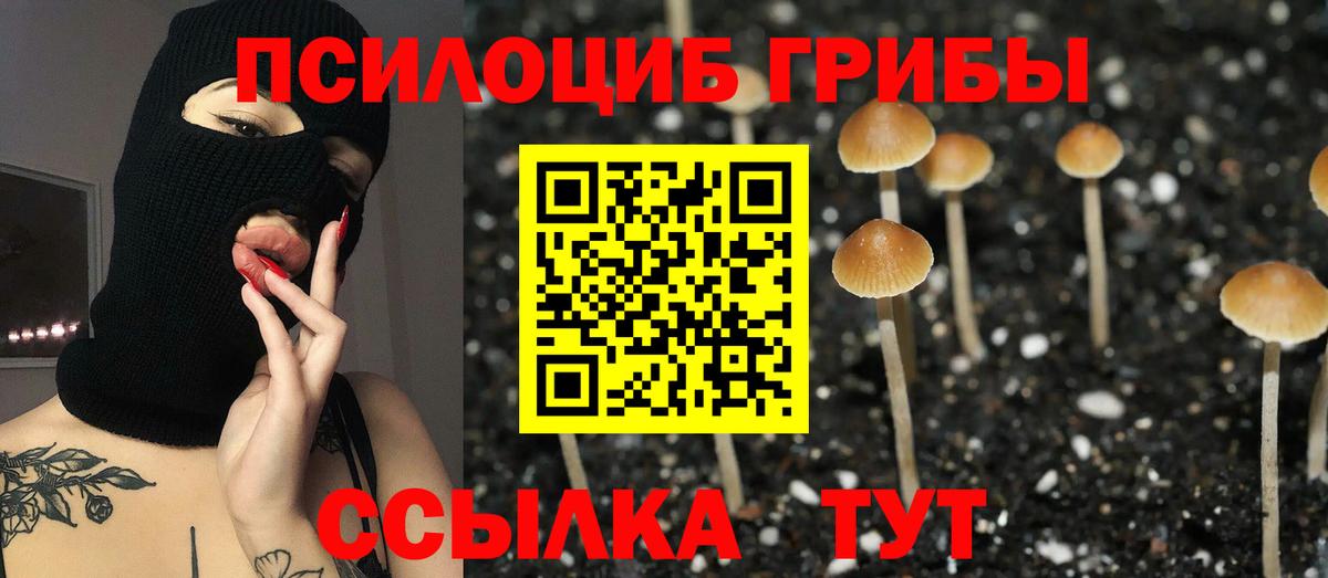 Псилоцибиновые грибы прущие грибы Джанкой